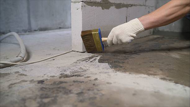24/7 Emergency Crawl Space Encapsulation experts in Amboy, IL